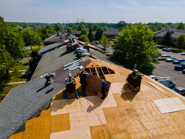 Roof Gutter Cleaning in Fuller Heights, FL